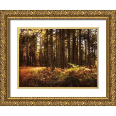 Painting of a Forest Gold Ornate Wood Framed Art Print with Double Matting by Artemiadi, Dora
