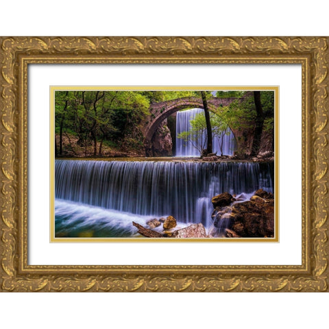 Spring Feast Gold Ornate Wood Framed Art Print with Double Matting by Artemiadi, Dora