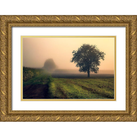 Morning Mist Gold Ornate Wood Framed Art Print with Double Matting by Artemiadi, Dora