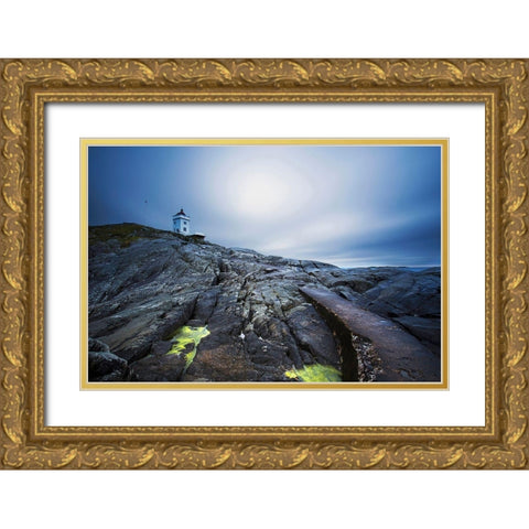 Solitude Gold Ornate Wood Framed Art Print with Double Matting by Artemiadi, Dora