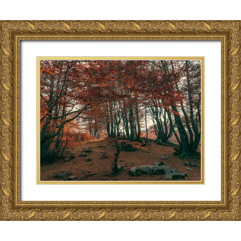 The Orange Season Gold Ornate Wood Framed Art Print with Double Matting by Artemiadi, Dora