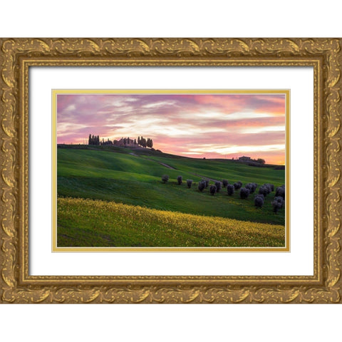 Tuscany Palette Gold Ornate Wood Framed Art Print with Double Matting by Artemiadi, Dora