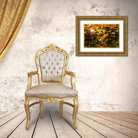 Autumn Sun Gold Ornate Wood Framed Art Print with Double Matting by Artemiadi, Dora