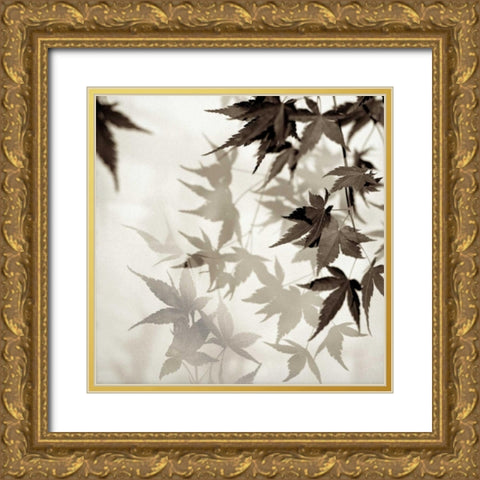 Florison - 57 Gold Ornate Wood Framed Art Print with Double Matting by Blaustein, Alan