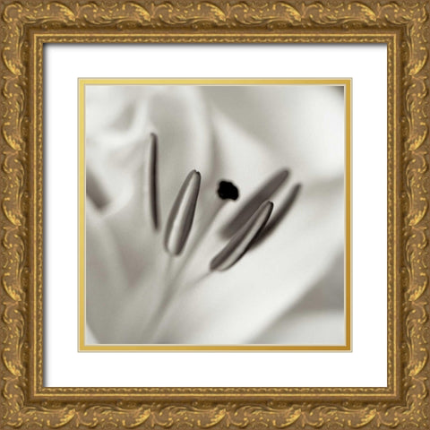 Florison - 52 Gold Ornate Wood Framed Art Print with Double Matting by Blaustein, Alan