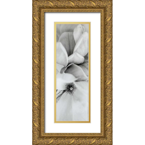 Magnolia - 2 Gold Ornate Wood Framed Art Print with Double Matting by Blaustein, Alan