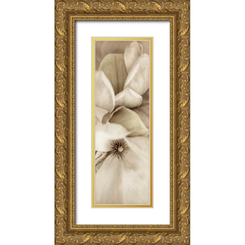 Florison - 70 Gold Ornate Wood Framed Art Print with Double Matting by Blaustein, Alan
