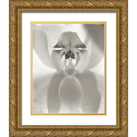 Florison - 26 Gold Ornate Wood Framed Art Print with Double Matting by Blaustein, Alan