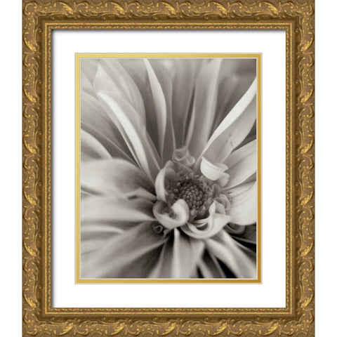 Florison - 21 Gold Ornate Wood Framed Art Print with Double Matting by Blaustein, Alan