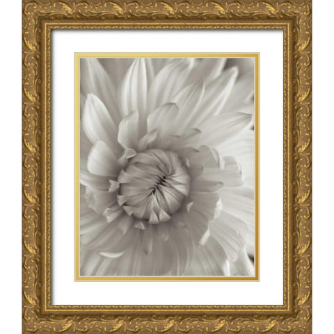 Florison - 24 Gold Ornate Wood Framed Art Print with Double Matting by Blaustein, Alan
