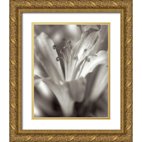 Florison - 14 Gold Ornate Wood Framed Art Print with Double Matting by Blaustein, Alan