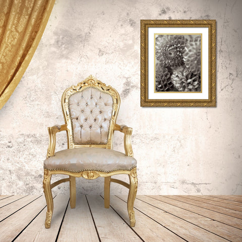 Florison - 13 Gold Ornate Wood Framed Art Print with Double Matting by Blaustein, Alan