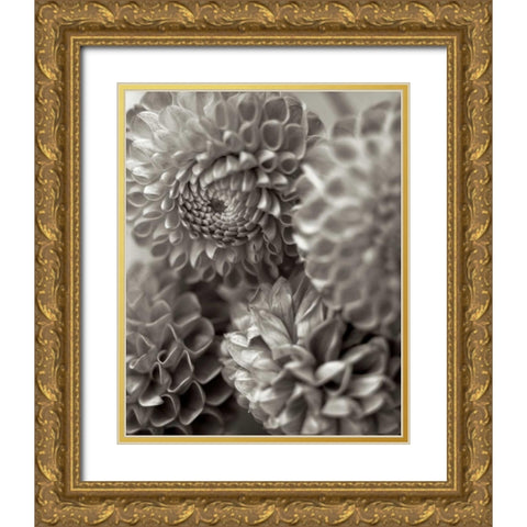 Florison - 13 Gold Ornate Wood Framed Art Print with Double Matting by Blaustein, Alan