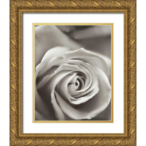 Florison - 12 Gold Ornate Wood Framed Art Print with Double Matting by Blaustein, Alan