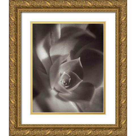 Florison - 11 Gold Ornate Wood Framed Art Print with Double Matting by Blaustein, Alan