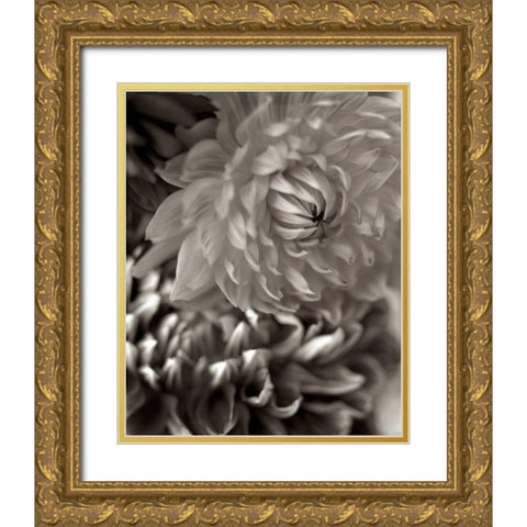 Florison - 10 Gold Ornate Wood Framed Art Print with Double Matting by Blaustein, Alan