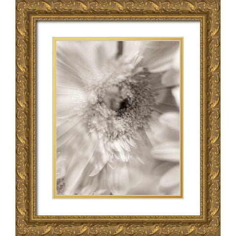 Florison - 5 Gold Ornate Wood Framed Art Print with Double Matting by Blaustein, Alan