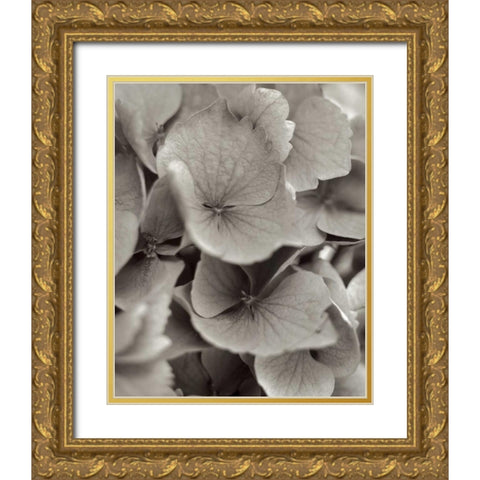 Florison - 1 Gold Ornate Wood Framed Art Print with Double Matting by Blaustein, Alan