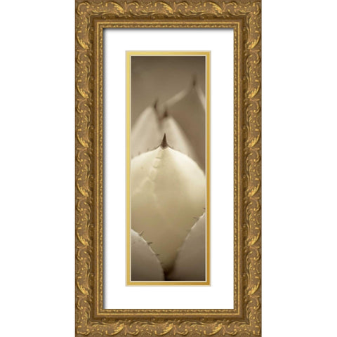 Florison - 67 Gold Ornate Wood Framed Art Print with Double Matting by Blaustein, Alan