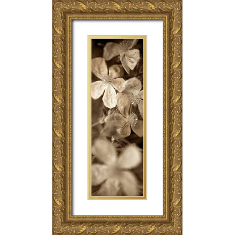 Florison - 69 Gold Ornate Wood Framed Art Print with Double Matting by Blaustein, Alan