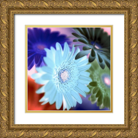 Floral Color - 1 Gold Ornate Wood Framed Art Print with Double Matting by Blaustein, Alan