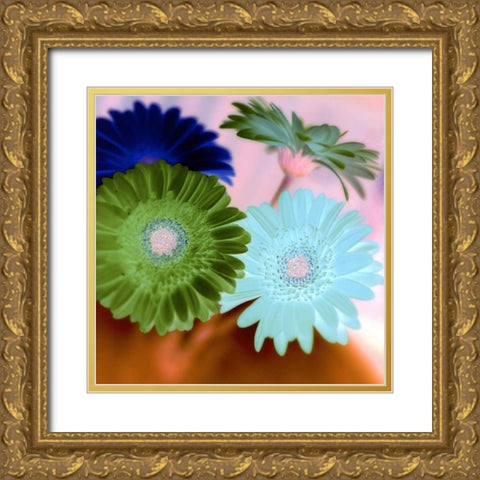 Floral Color - 2 Gold Ornate Wood Framed Art Print with Double Matting by Blaustein, Alan