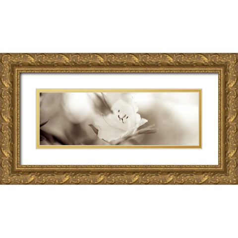 Florison - 104 Gold Ornate Wood Framed Art Print with Double Matting by Blaustein, Alan
