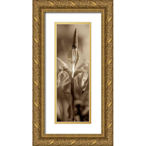 Florison - 74 Gold Ornate Wood Framed Art Print with Double Matting by Blaustein, Alan