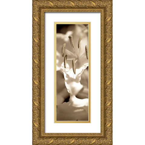 Florison - 75 Gold Ornate Wood Framed Art Print with Double Matting by Blaustein, Alan