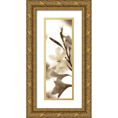 Florison - 76 Gold Ornate Wood Framed Art Print with Double Matting by Blaustein, Alan
