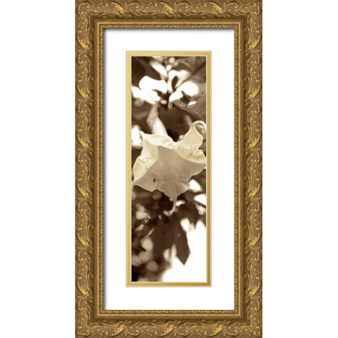 Florison - 78 Gold Ornate Wood Framed Art Print with Double Matting by Blaustein, Alan
