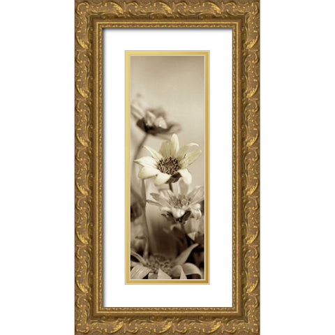Florison - 79 Gold Ornate Wood Framed Art Print with Double Matting by Blaustein, Alan