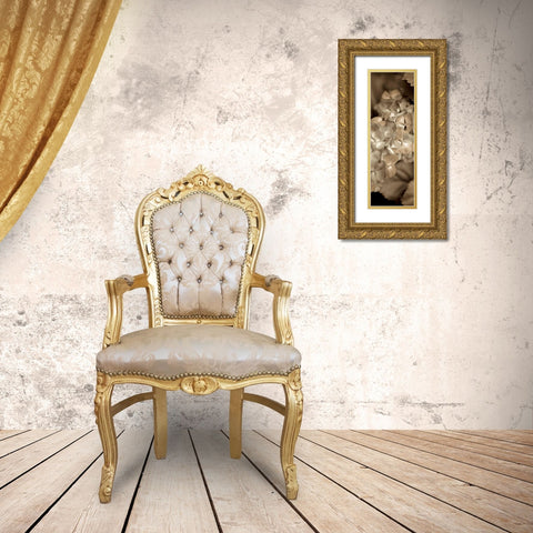 Florison - 90 Gold Ornate Wood Framed Art Print with Double Matting by Blaustein, Alan