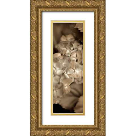 Florison - 90 Gold Ornate Wood Framed Art Print with Double Matting by Blaustein, Alan