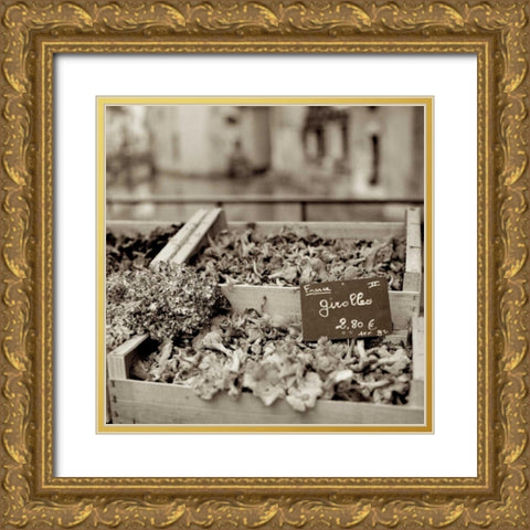 Marketplace - 37 Gold Ornate Wood Framed Art Print with Double Matting by Blaustein, Alan