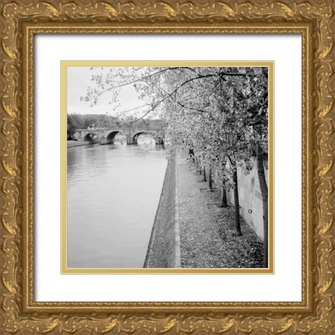 Paris - 10 Gold Ornate Wood Framed Art Print with Double Matting by Blaustein, Alan