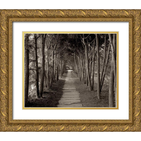 Banc de Jardin - 75 Gold Ornate Wood Framed Art Print with Double Matting by Blaustein, Alan