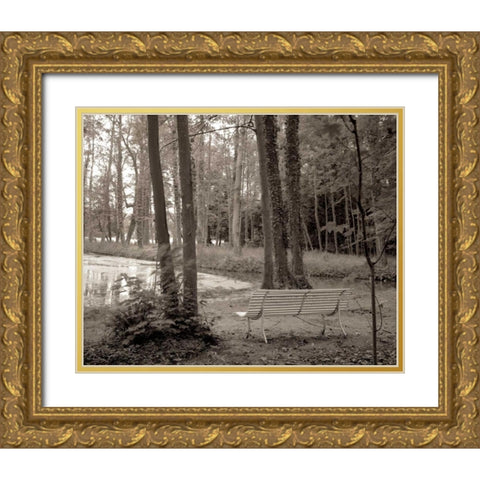 Banc de Jardin - 84 Gold Ornate Wood Framed Art Print with Double Matting by Blaustein, Alan