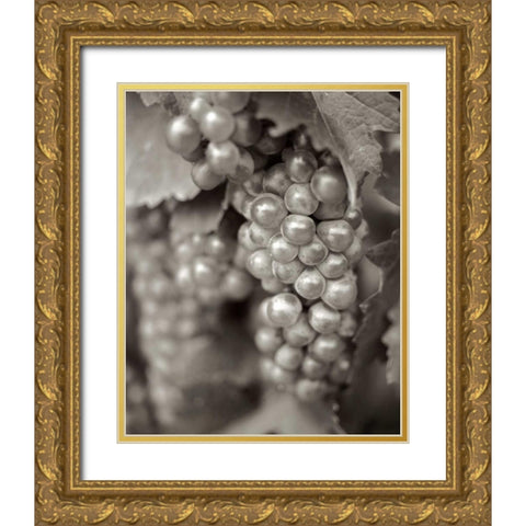 Grapes - 20 Gold Ornate Wood Framed Art Print with Double Matting by Blaustein, Alan