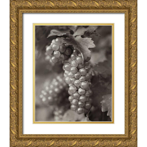 Grapes - 21 Gold Ornate Wood Framed Art Print with Double Matting by Blaustein, Alan
