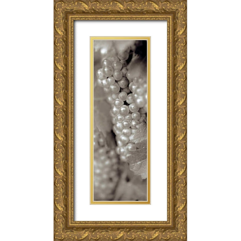 Grapes Pano - 11 Gold Ornate Wood Framed Art Print with Double Matting by Blaustein, Alan