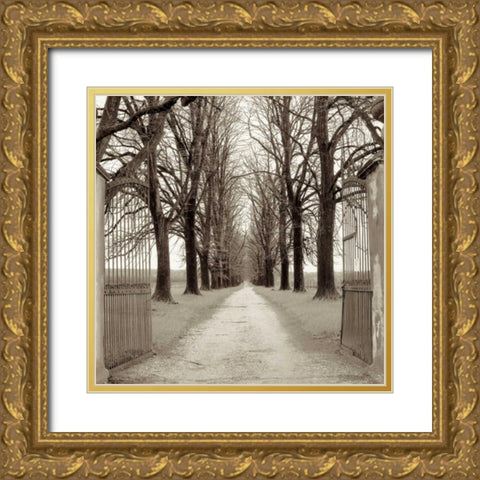 Veneto Giardini - 1 Gold Ornate Wood Framed Art Print with Double Matting by Blaustein, Alan