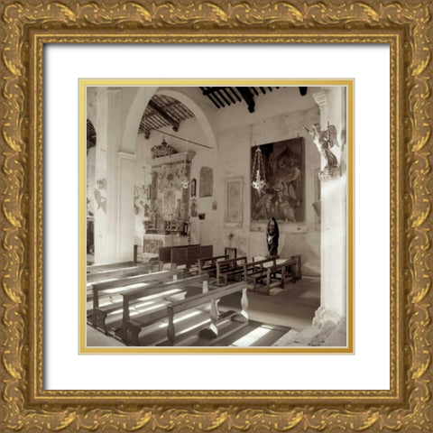 Banogregio - 1 Gold Ornate Wood Framed Art Print with Double Matting by Blaustein, Alan