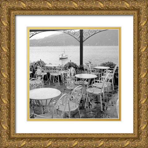 Lake Vista - 14 Gold Ornate Wood Framed Art Print with Double Matting by Blaustein, Alan