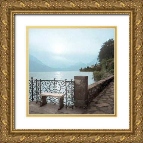 Lake Vista - 1 color Gold Ornate Wood Framed Art Print with Double Matting by Blaustein, Alan
