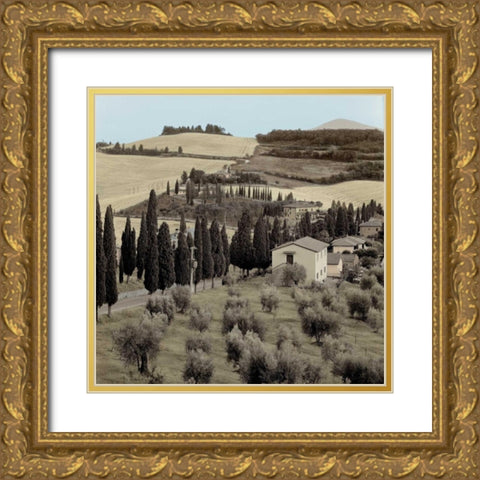 Tuscany - 15 Gold Ornate Wood Framed Art Print with Double Matting by Blaustein, Alan