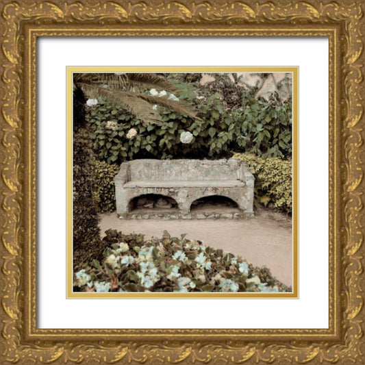Perspective Image