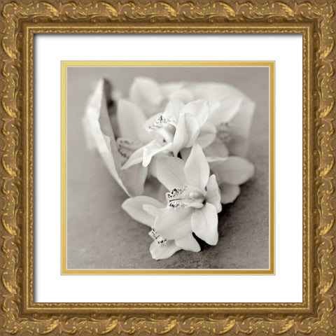 Florison - 27 Gold Ornate Wood Framed Art Print with Double Matting by Blaustein, Alan