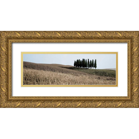 Val dÃ¢â‚¬â„¢Orcia Pano - 3 Gold Ornate Wood Framed Art Print with Double Matting by Blaustein, Alan