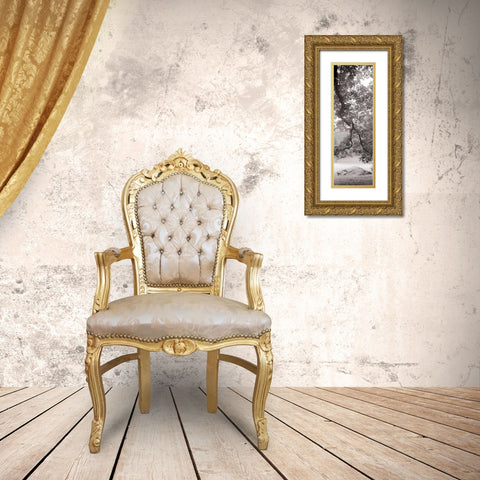 Hampton Field Tree - 1 Gold Ornate Wood Framed Art Print with Double Matting by Blaustein, Alan